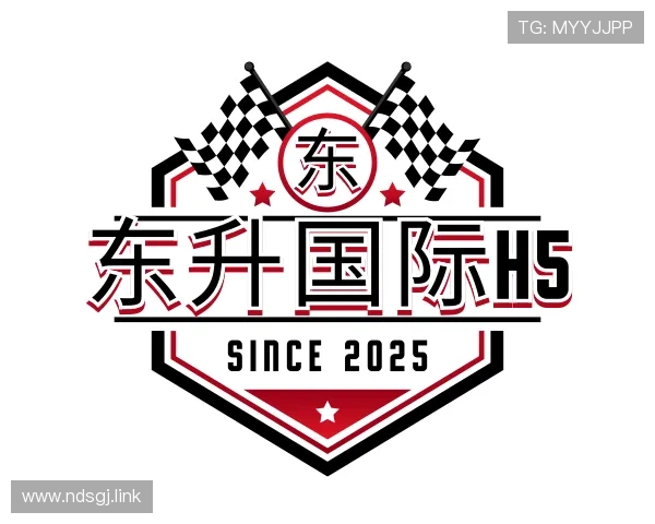 导引东升国际h5